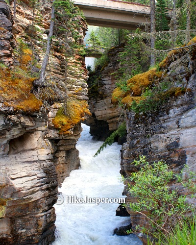 Athabasca Falls 3 - Hike Jasper
