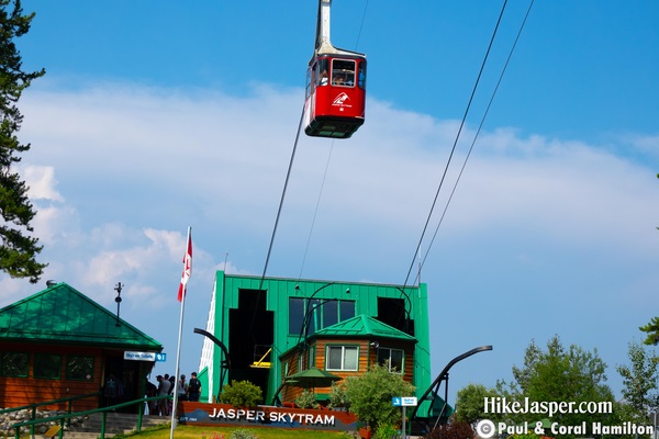 Jasper SkyTram to Whistlers Mountain