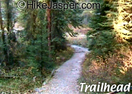 Hike Jasper Horseshoe Lake Trailhead