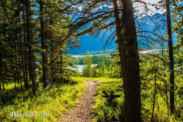Jasper Alberta Overlander Trail - Hike Jasper 22