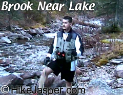 Jasper Geraldine Lakes Hike Brook