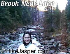 Brook2 at Jasper Geraldine Lakes Hike