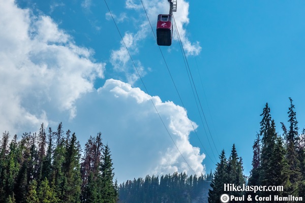 Jasper SkyTram Flight Tickets