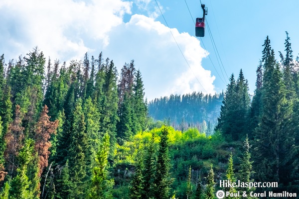 Jasper SkyTram Flight Tickets