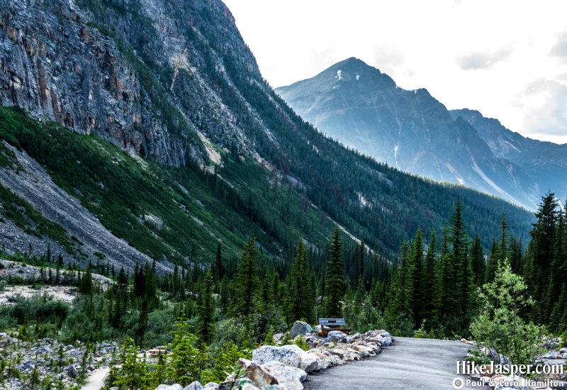 Paved Trail Towards Mount Edith Cavell