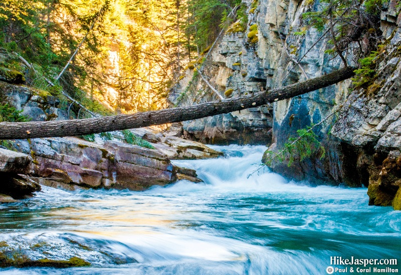 Photo Spots in Jasper National Park - Maligne River in Maligne Canyon