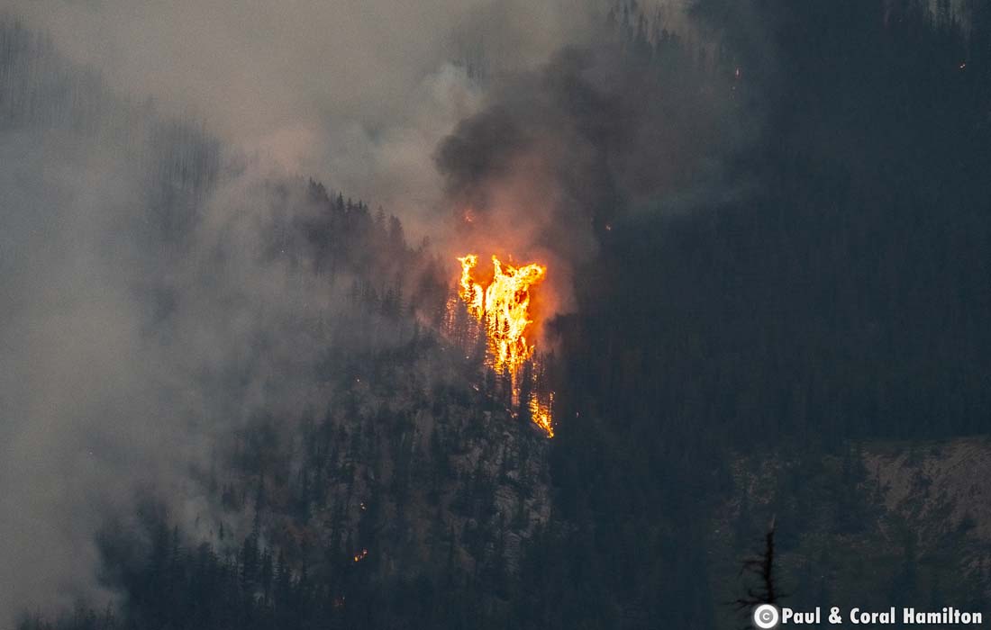 Chetamon Wildfire Update - Now is not the time to visit Jasper National Park