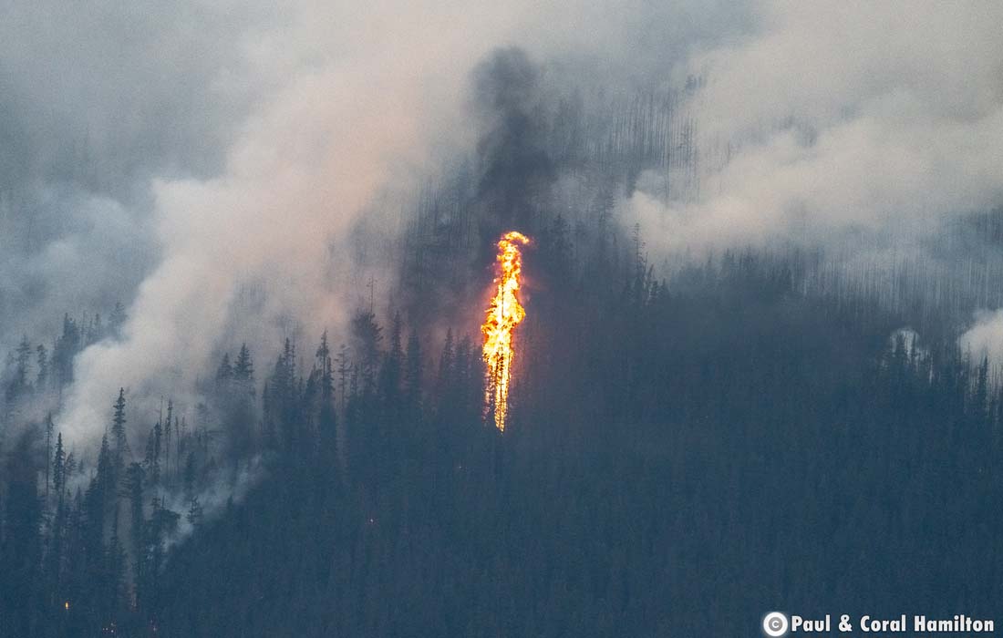 Jasper Chetamon Wildfire - Perimeter holds through hot and dry weather