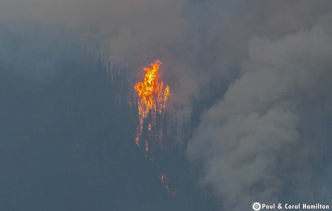 Jasper Chetamon Wildfire – Strong winds increase wildfire intensity