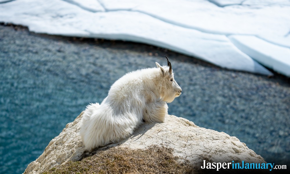 Winter Photography During January