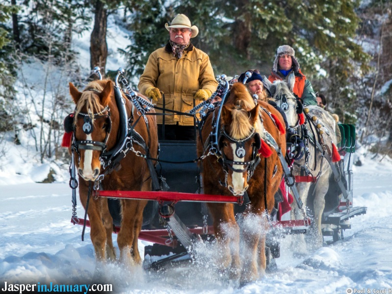 Jasper Sleigh Rides in January