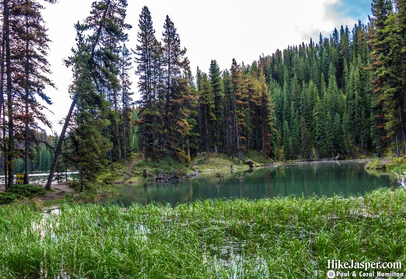 Moose Lake Loop at Maligne Lake 2 - Hike Jasper