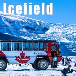 Jasper Columbia Icefield
