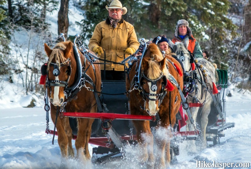 Winter in Jasper National Park - Horse Drawn Sleigh Rides