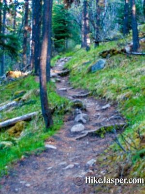 Pyramid Lake and Athabasca Overlook Trail