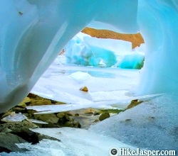 Hiking Edith Cavell Meadows glaciers in Jasper