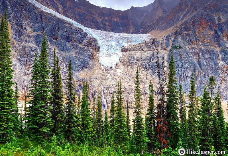 Hiking Edith Cavell Meadows in Jasper