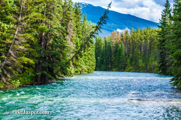 Jasper Alberta Overlander Trail Hike