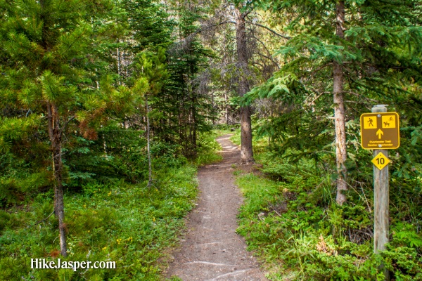 Jasper Alberta Overlander Trail - Hike Jasper 2