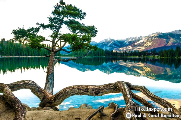 Hiking around Lac Beauvert in a July Evening