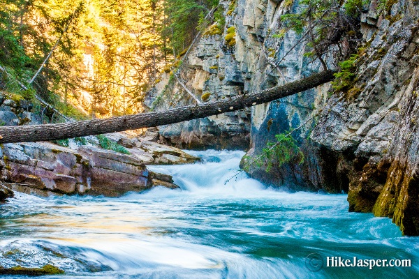 Summer Hiking Maligne Canyon in Jasper 9