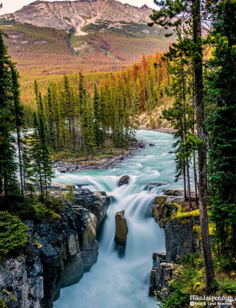 Sunwapta Falls Hike in Jasper National Park