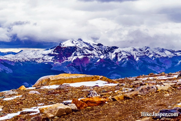 Whistlers Mountain View from Top Hike Jasper