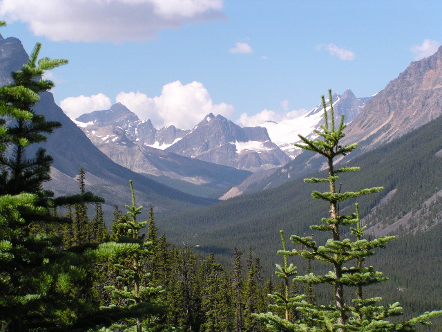 The Bald Hills Hike in Jasper, Alberta