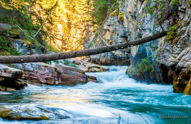 Maligne Canyon and Maligne River