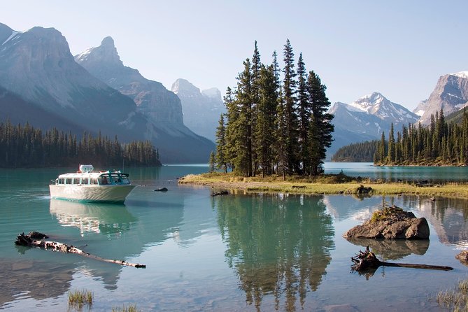 5.5 Hour Jasper Wildlife and Waterfalls Tour with Maligne Lake Cruise