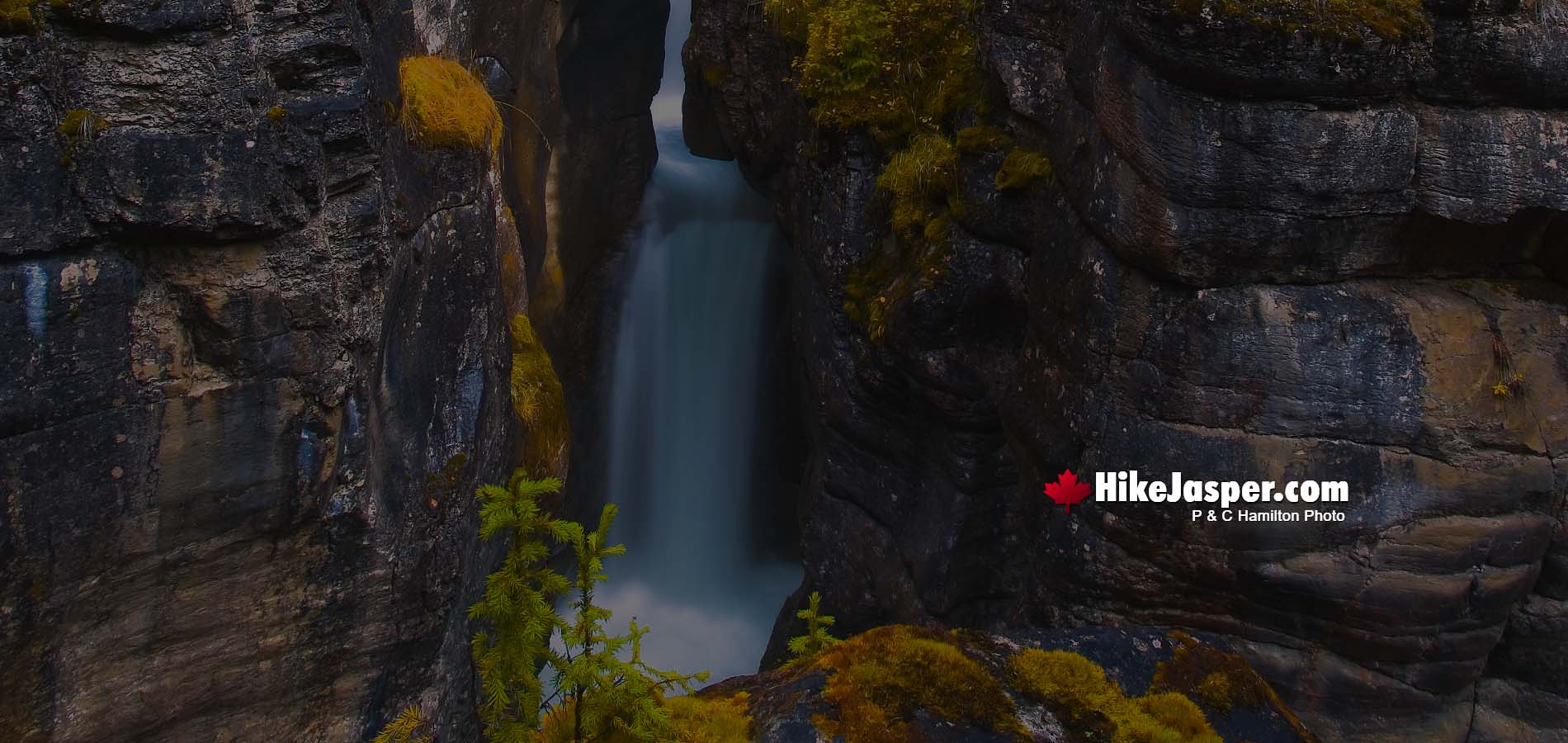 Hike Jasper's Maligne Canyon 2021