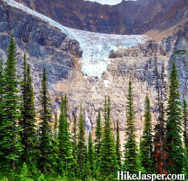 Hiking Jasper's Edith Cavell Meadows