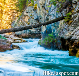 Jasper Maligne Canyon Hike