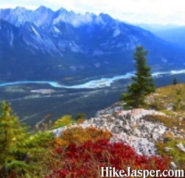 Jasper Palisade Lookout Hike